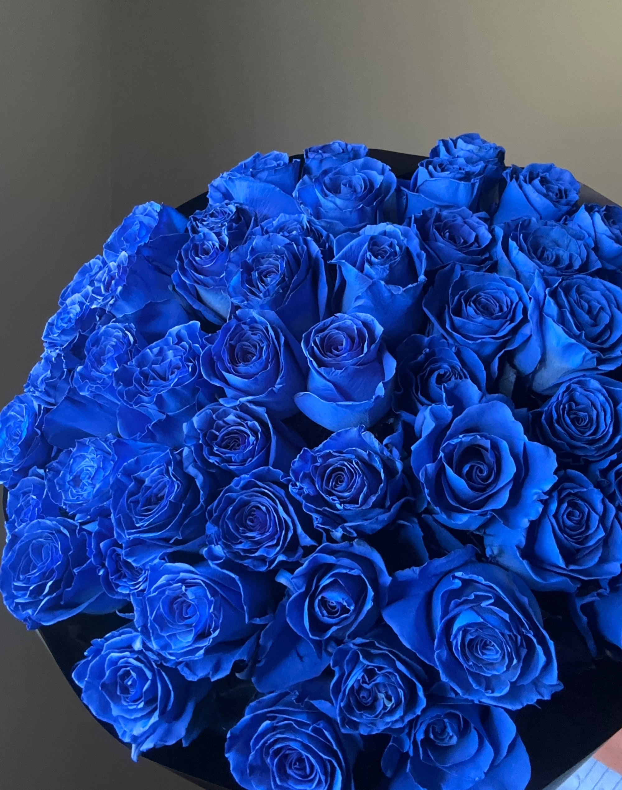 Sapphire Blue Roses 💙