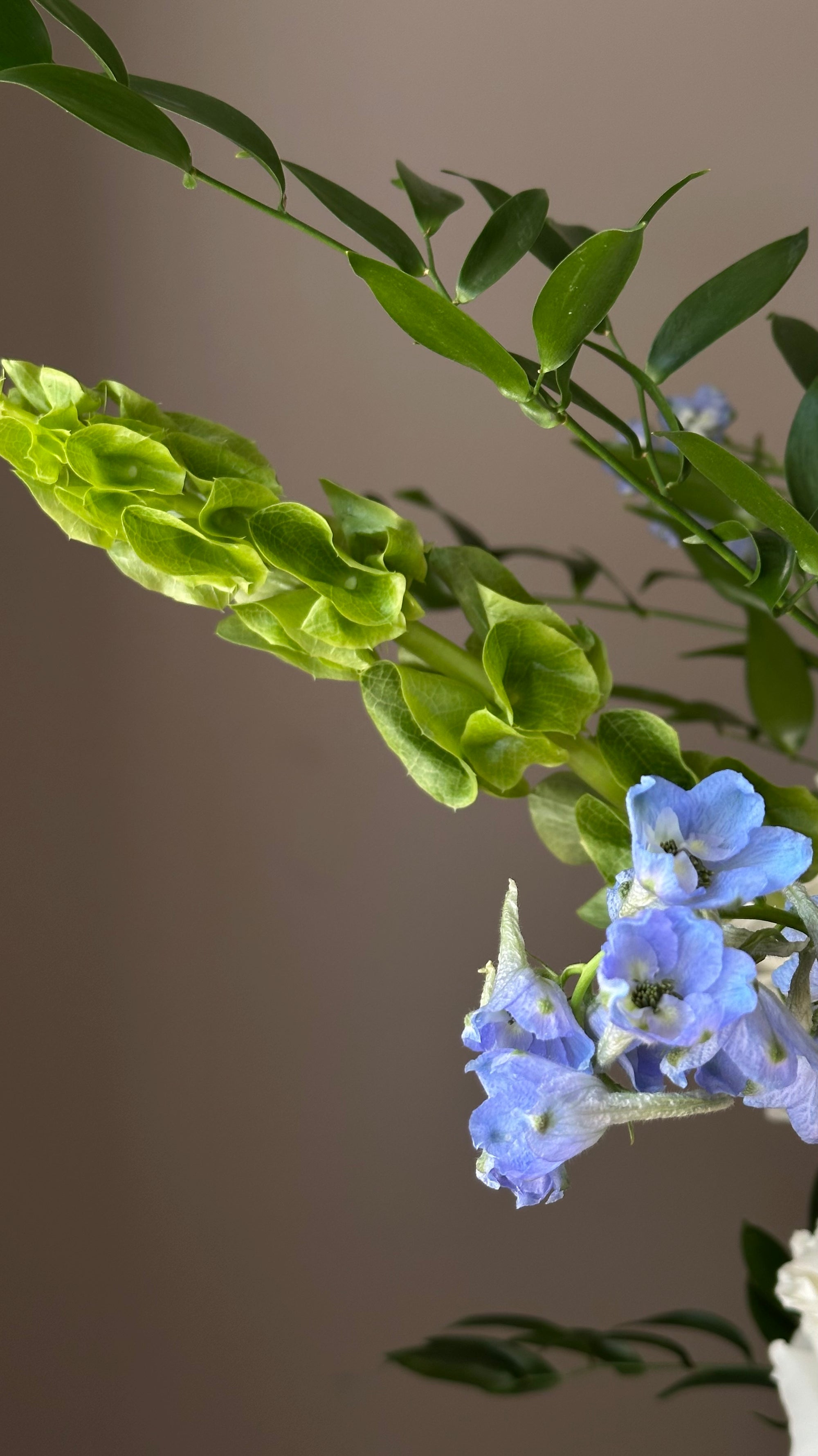 Blue Whisper Elegance