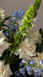Blue Whisper Elegance