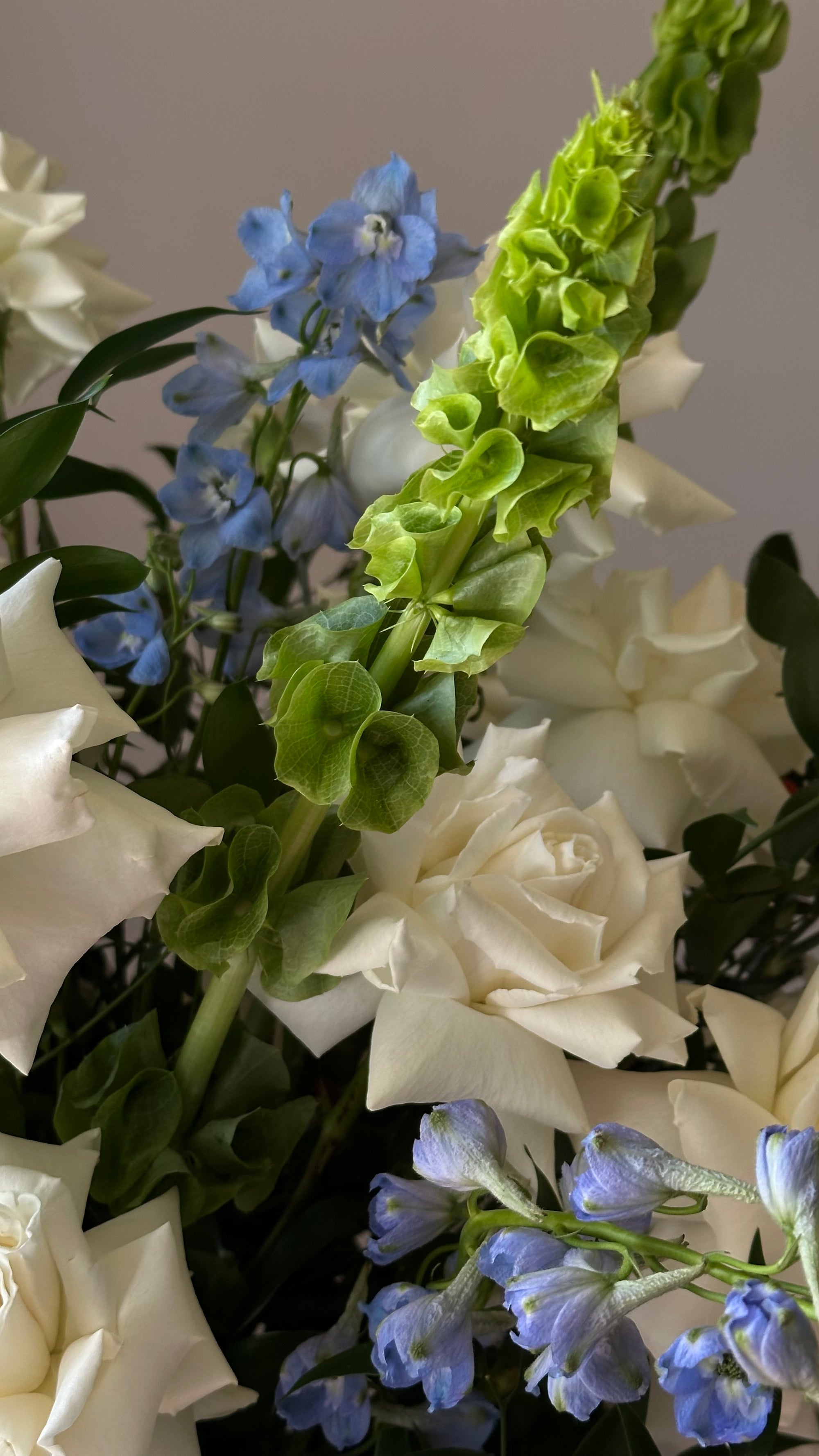 Blue Whisper Elegance