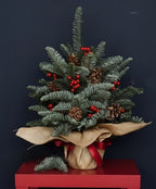 Winter Fairytale Collection