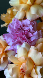 Peach Blush Garden Basket
