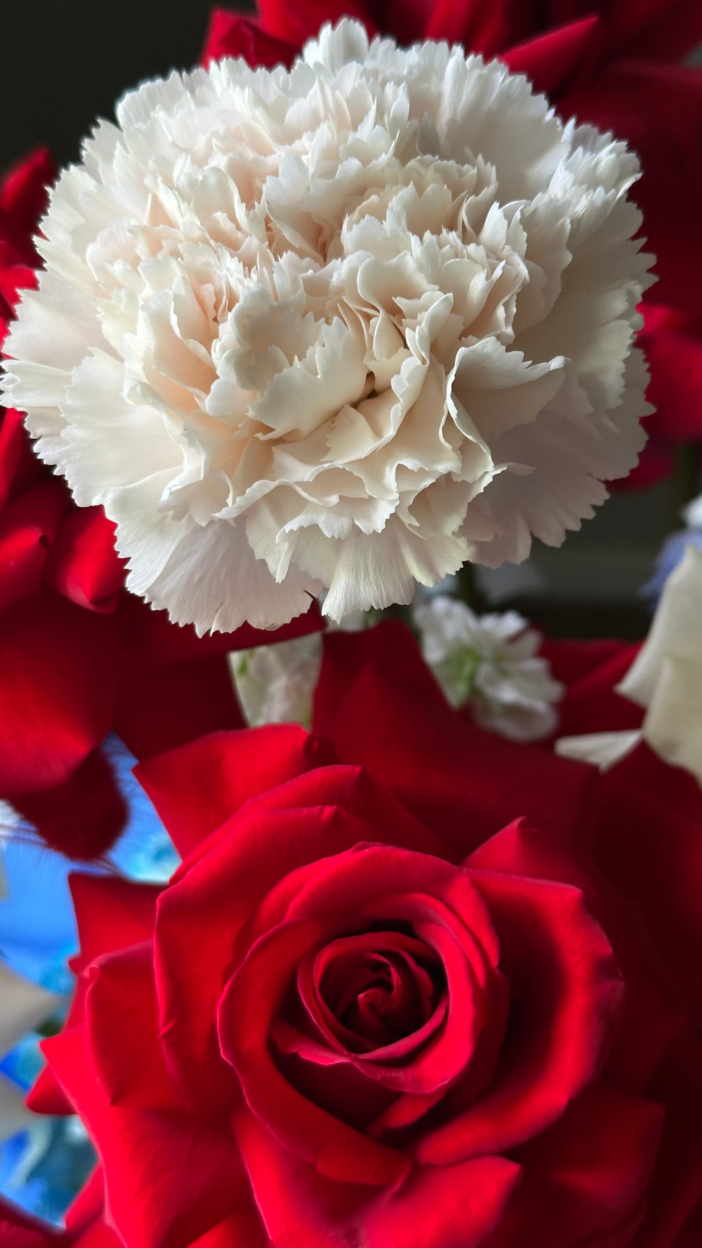 Memorial Day Celebration Flowers – Red White Blue