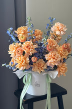 Apricot Dream