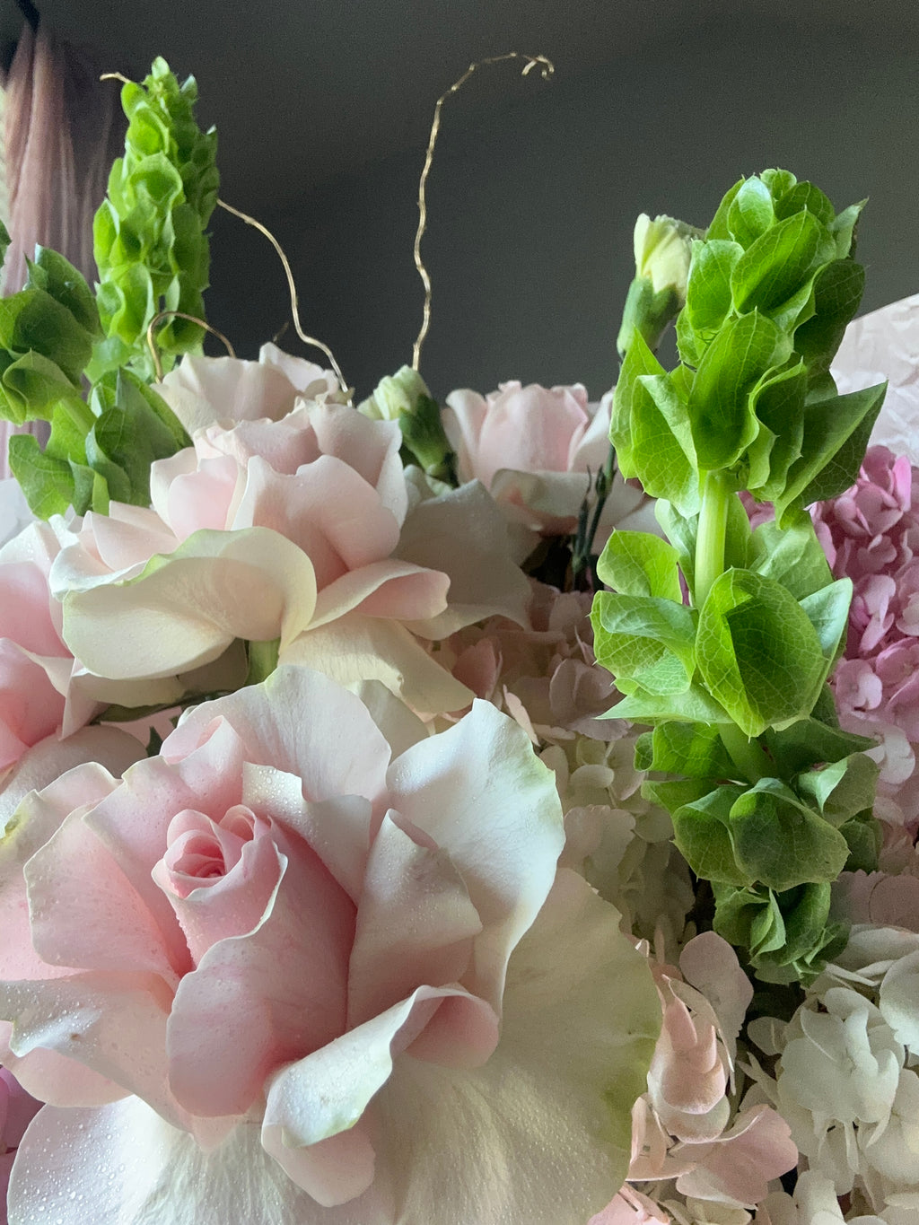 Blush Meadow