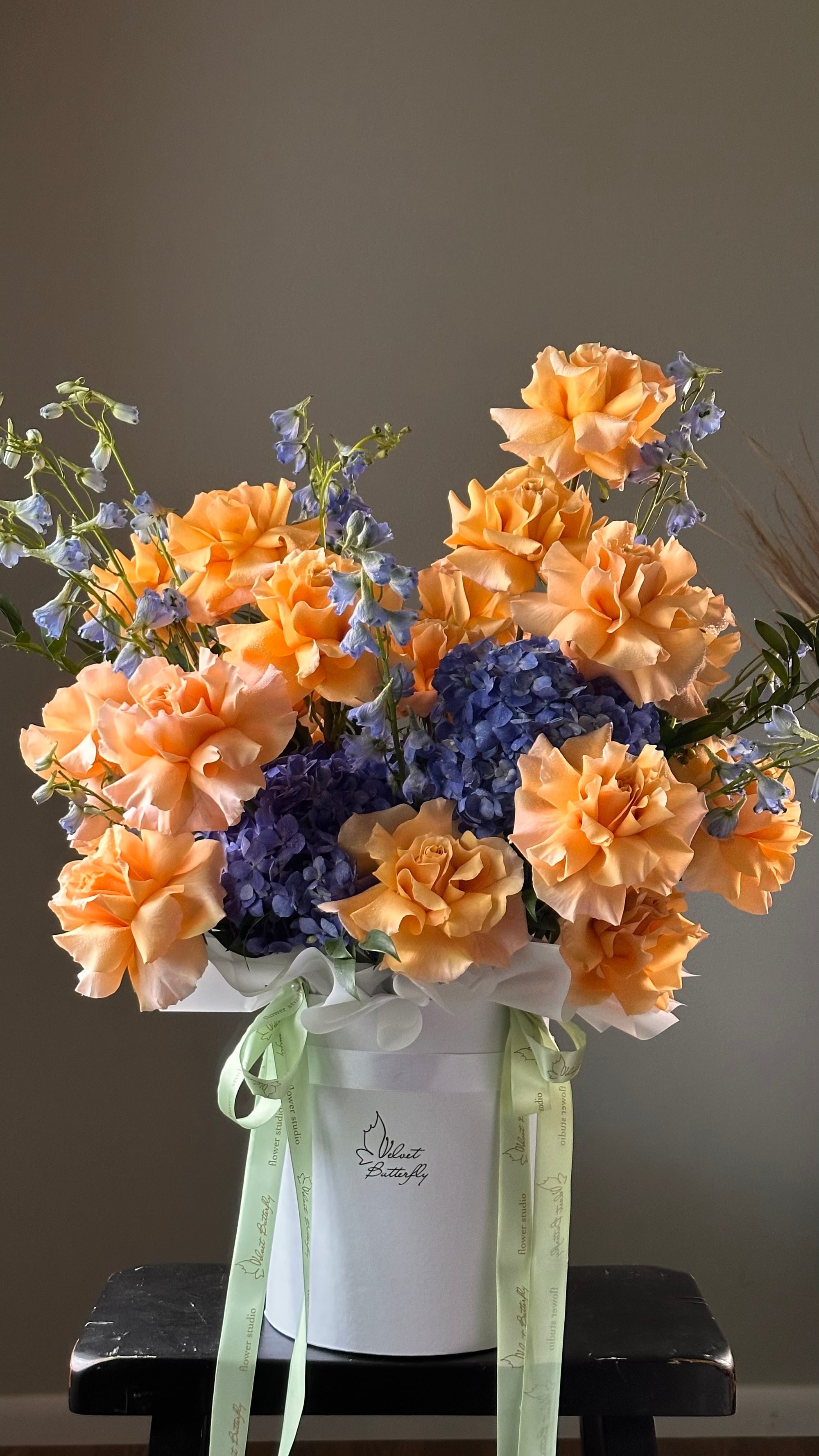 Apricot Dream