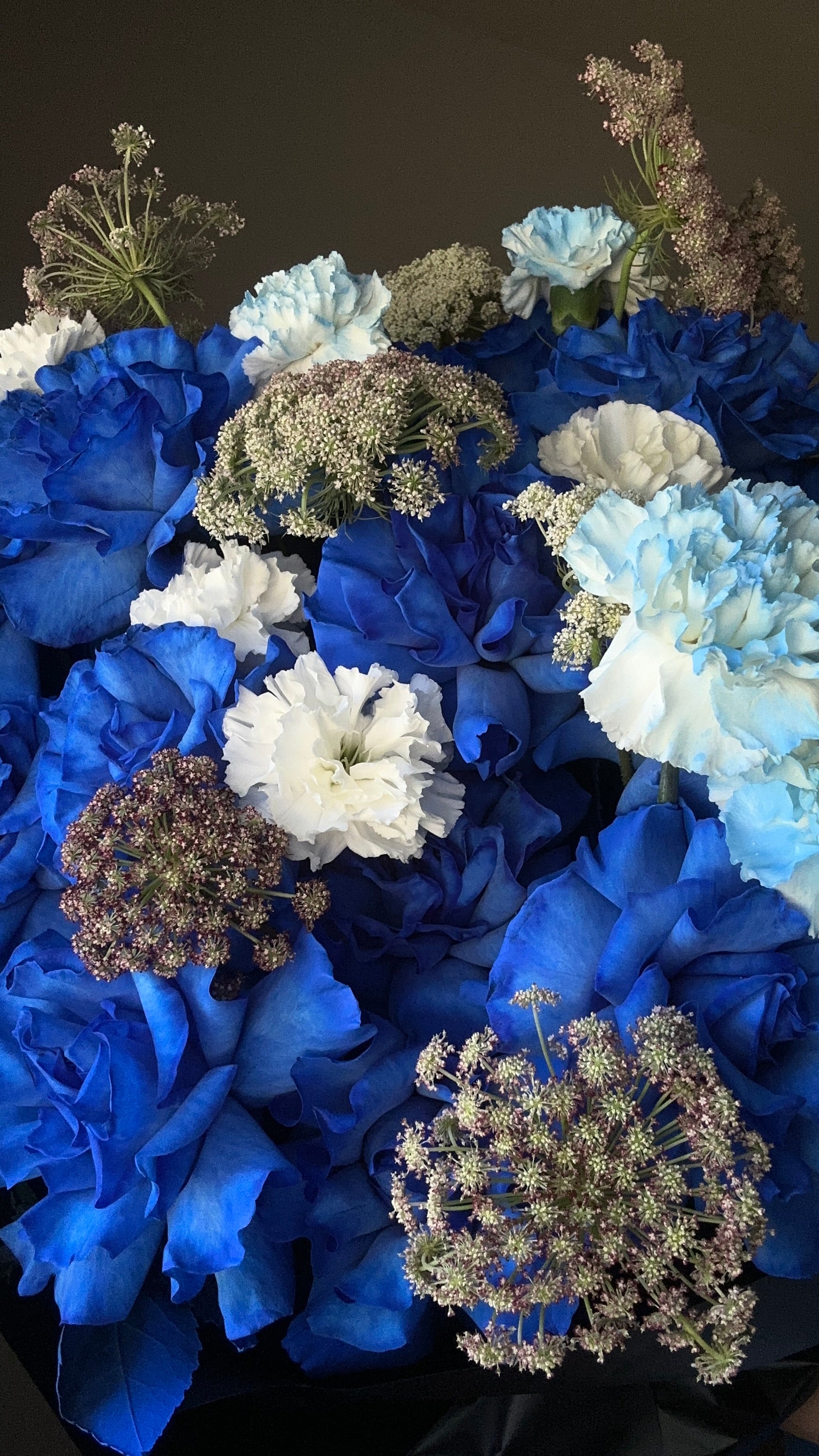 Royal Blue Majesty 💙