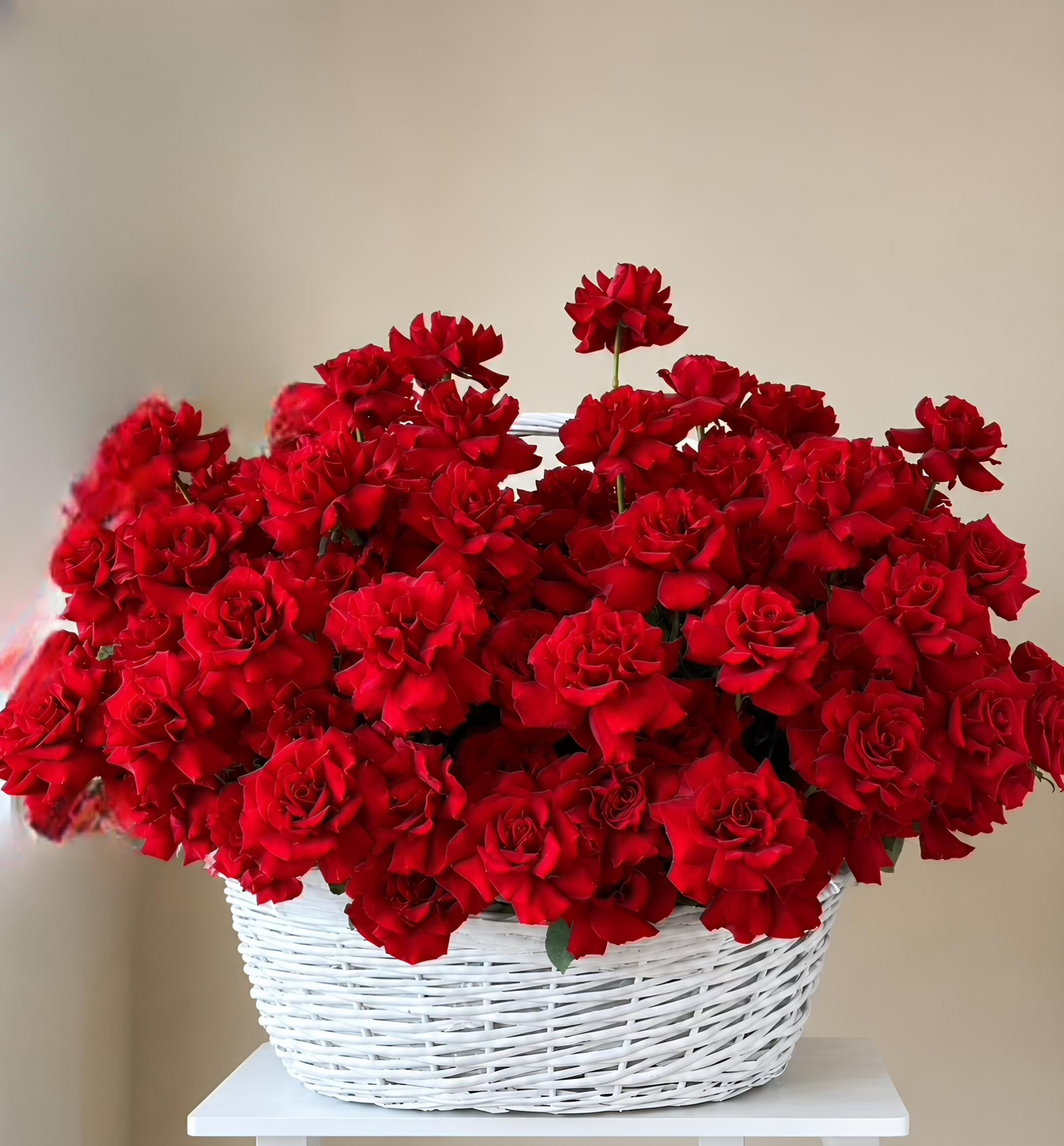 Crimson Majesty ❤️ (2 days pre-order)