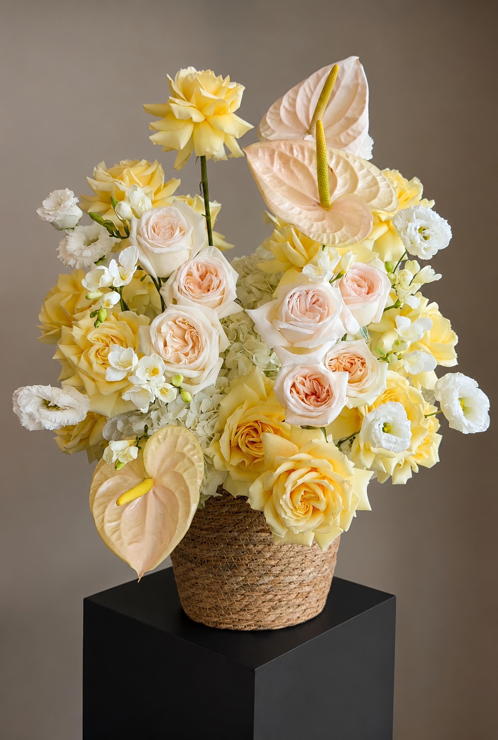 Lemon Chiffon