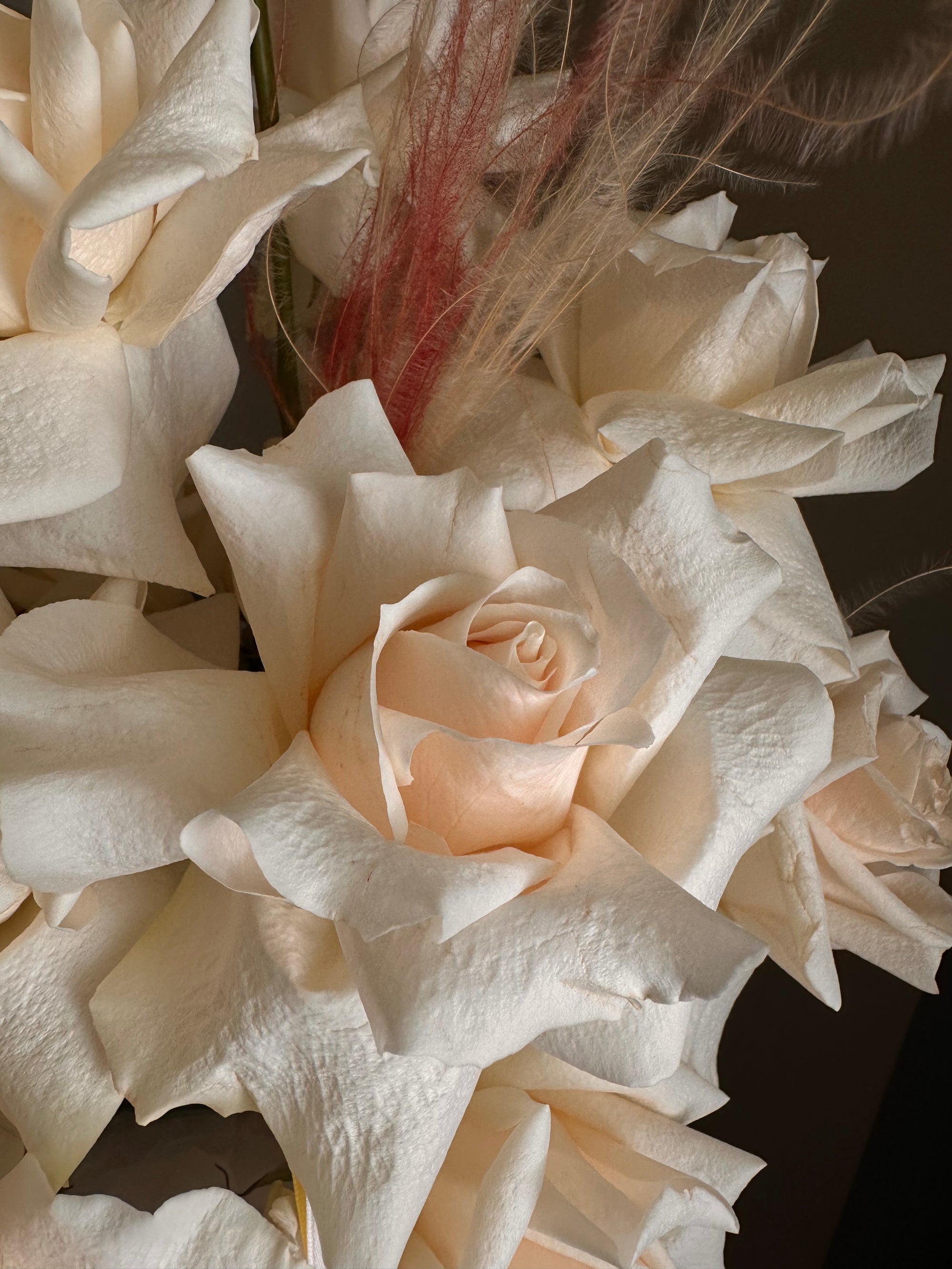 "Milky Silk"