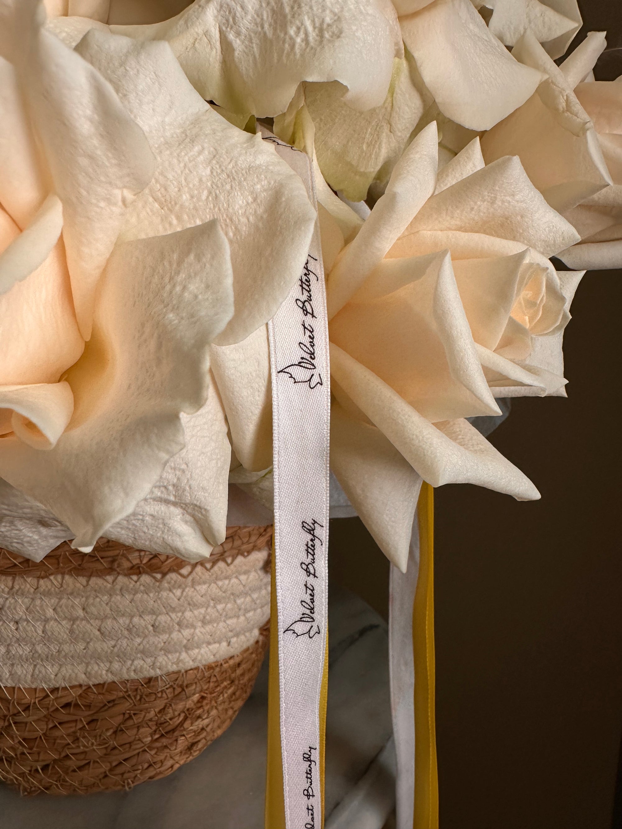 "Milky Silk"