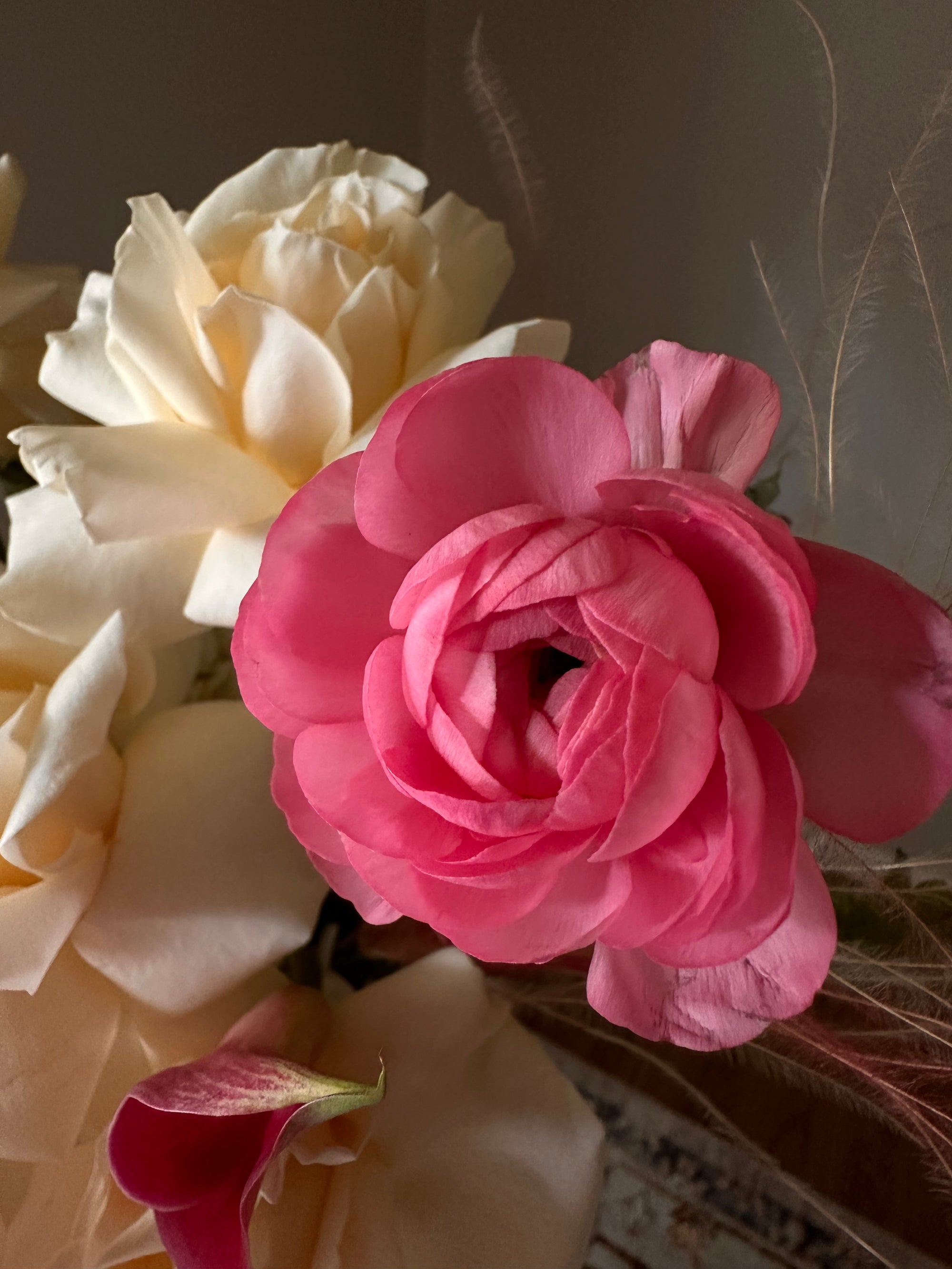 "Delicate details"