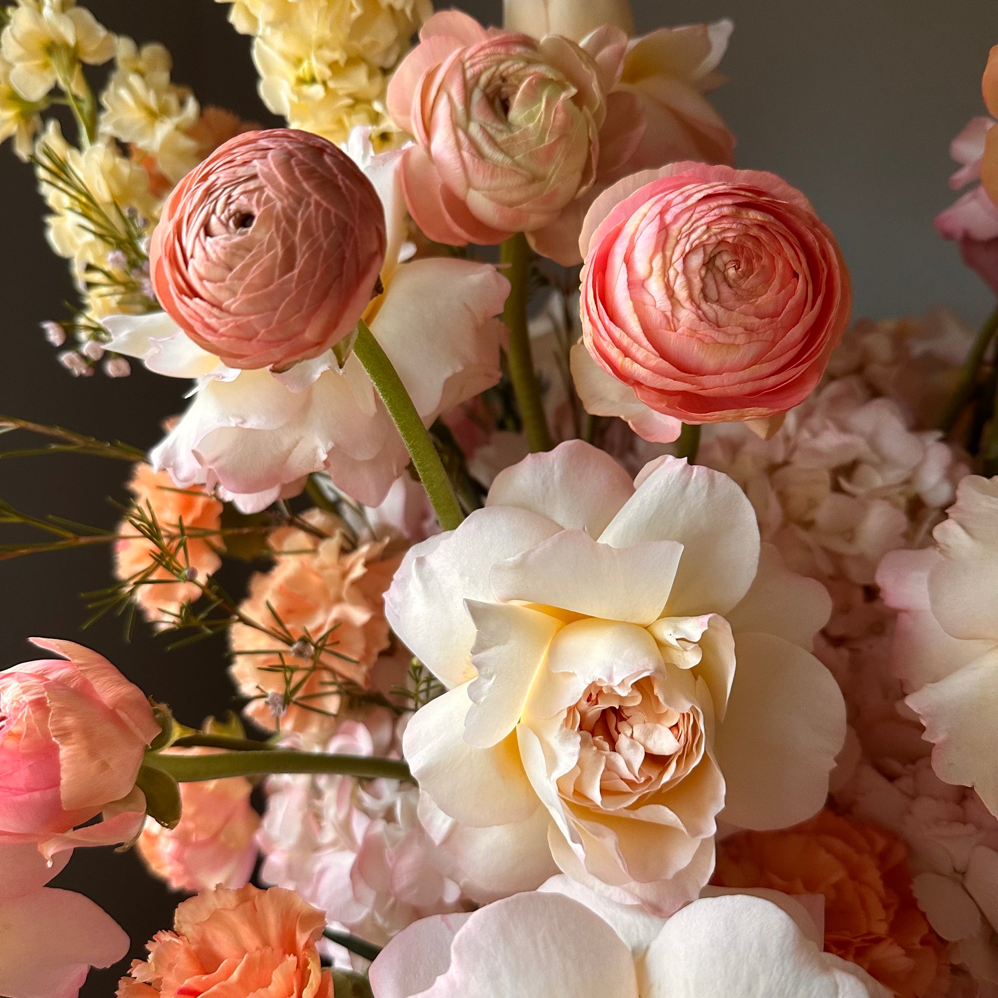 Peachy elegance