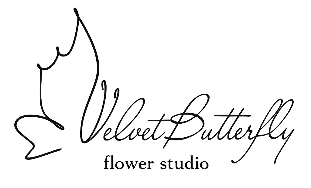 velvetbutterflystudio