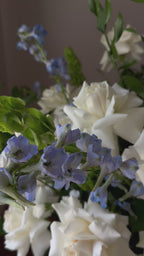 Blue Whisper Elegance