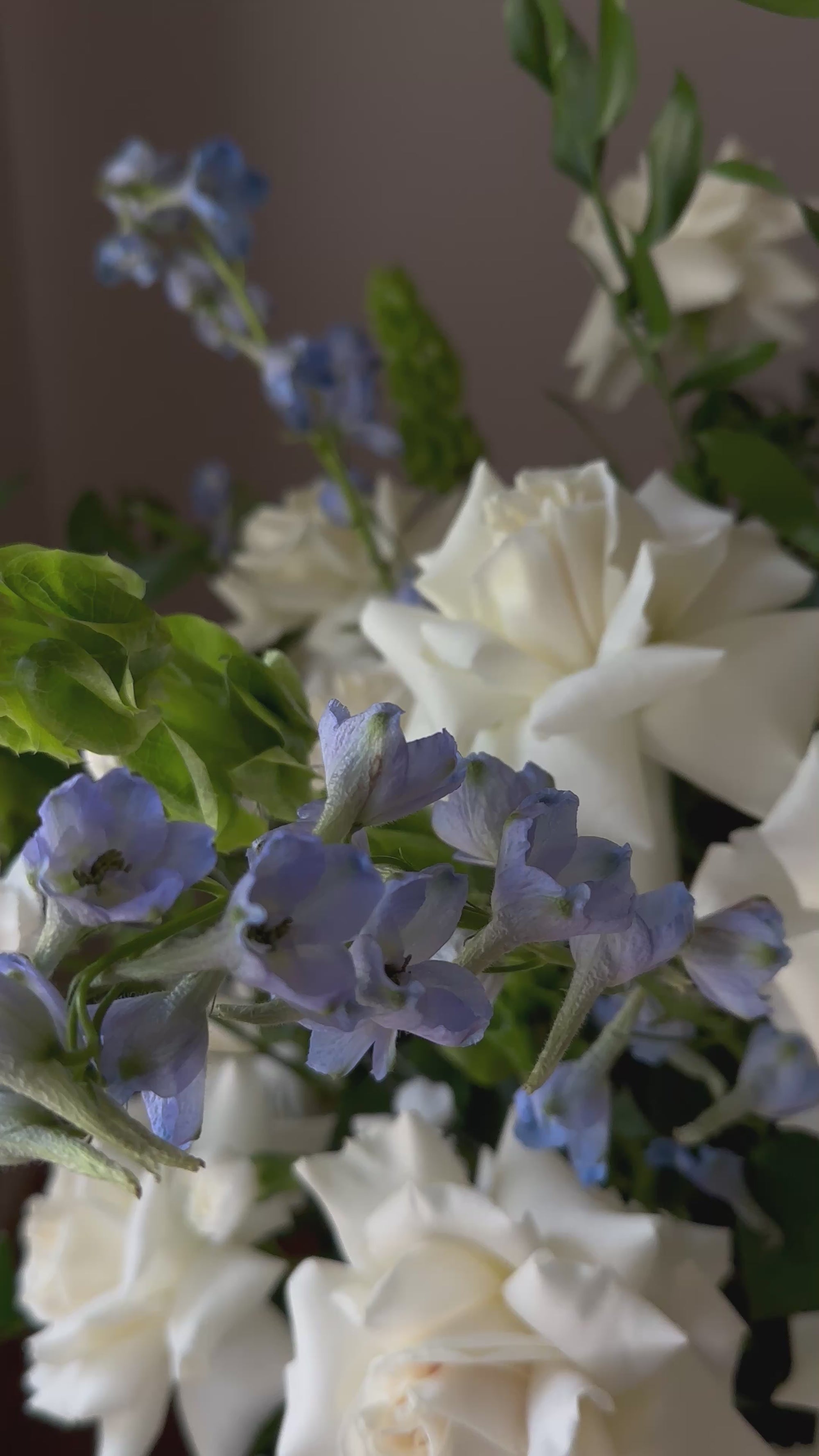 Blue Whisper Elegance